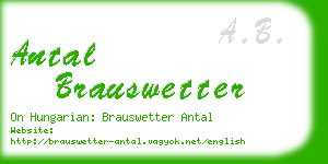 antal brauswetter business card